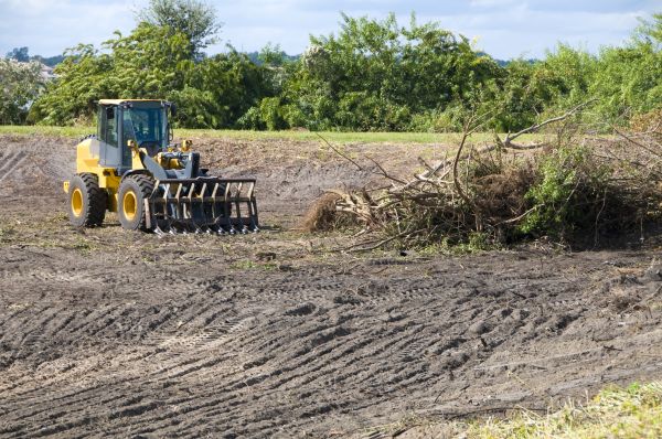 Montgomery Land Clearing